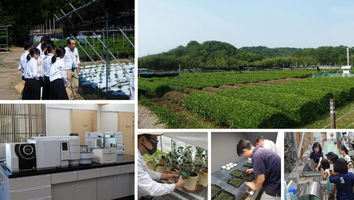 トップページ用