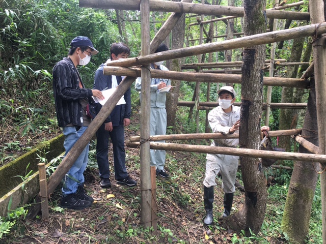 丹波漆チームの学生が活動をしている様子