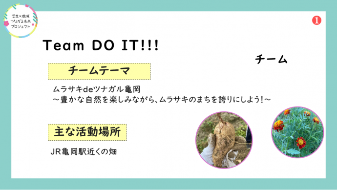 令和6年度TeamDOIT報告イメージ画像