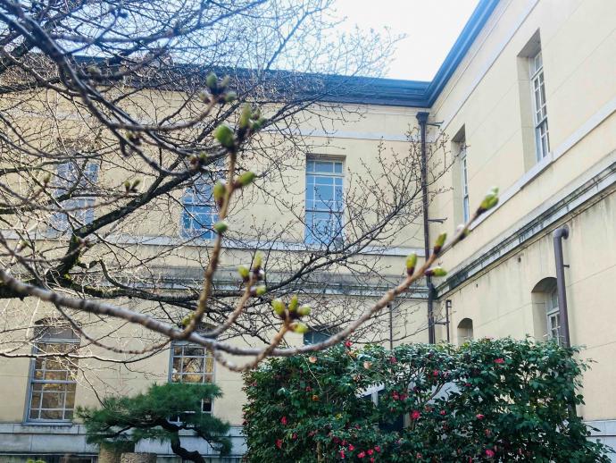 令和7年度成果報告担当者からイメージ写真