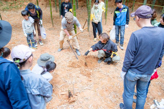 筍ほりの様子