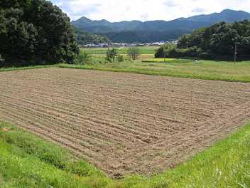 放牧終了後の写真