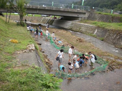 魚つかみ大会