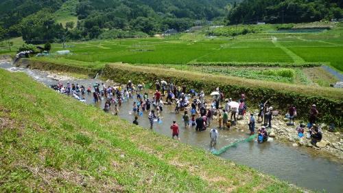 魚つかみ大会