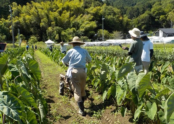 えびいも3回目土入れ講習会