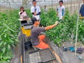 第3回万とうゼミ