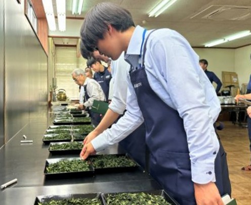 両丹茶品評会外観審査