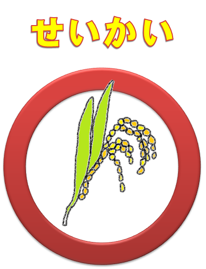 せいかい