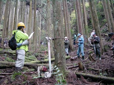 指導員が林家に対して間伐の方法を伝えています。