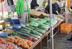 地元の野菜などを販売します