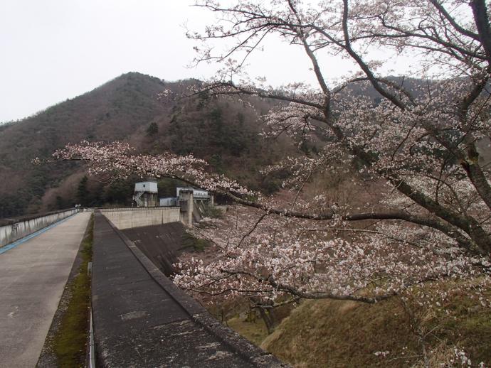 3月30大野ダム3