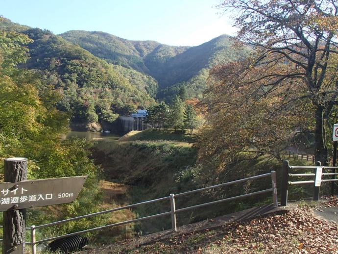 大野ダムもみじ写真11月5日2