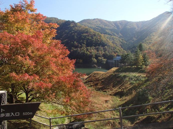 大野ダムもみじ写真11月13日2