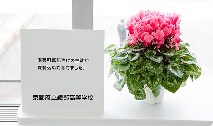 会場展示