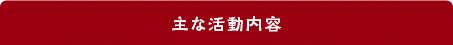 主な活動内容