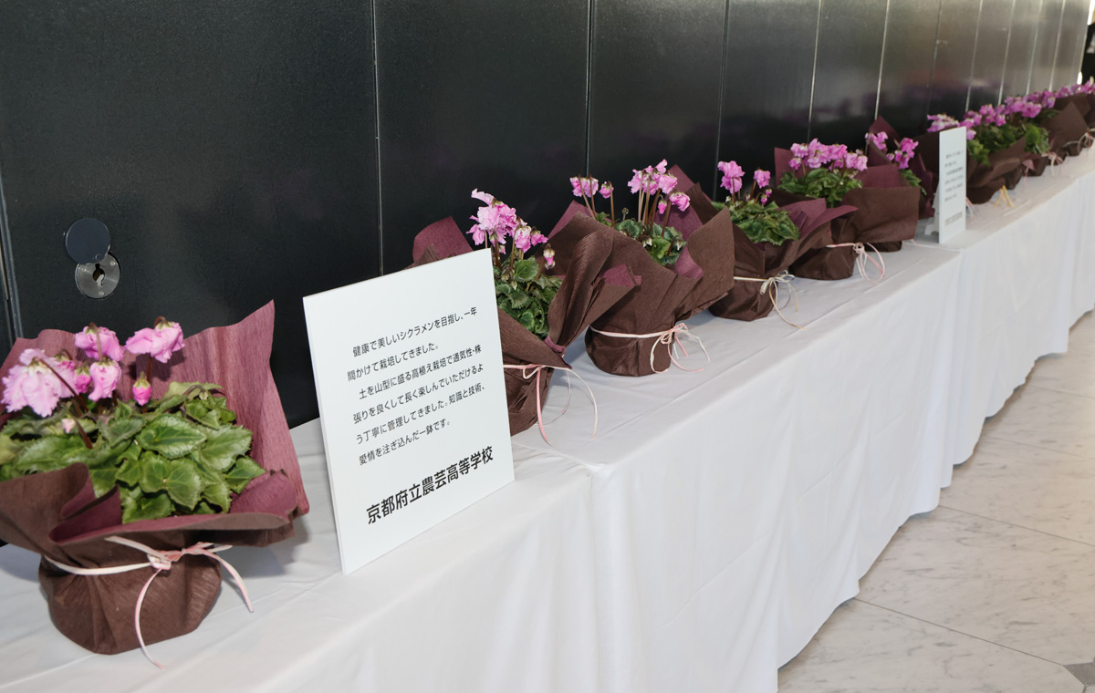 会場展示