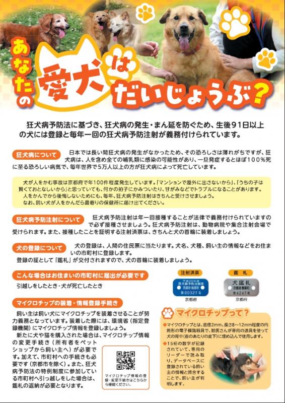 あなたの愛犬はだいじょうぶ？