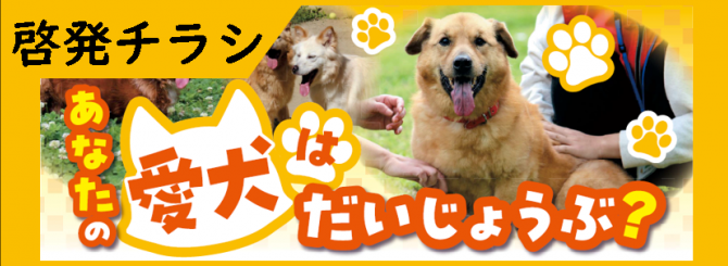 犬の啓発チラシへのリンク