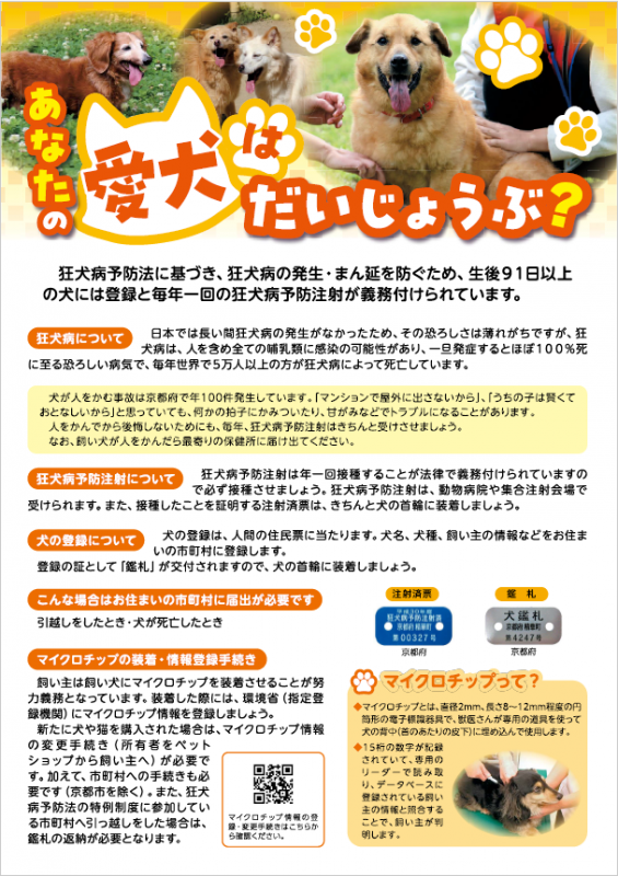犬チラシ、あなたの愛犬はだいじょうぶ？