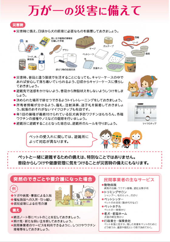 犬チラシ、万が一の災害に備えて
