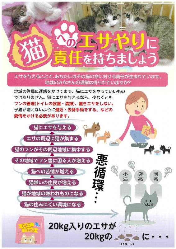 猫へのエサやりに責任を持ちましょう