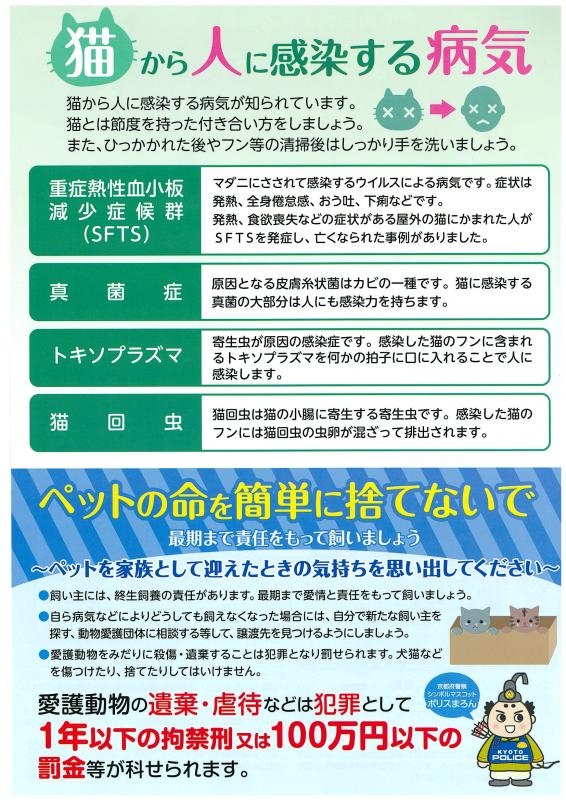 猫から人に感染する病気