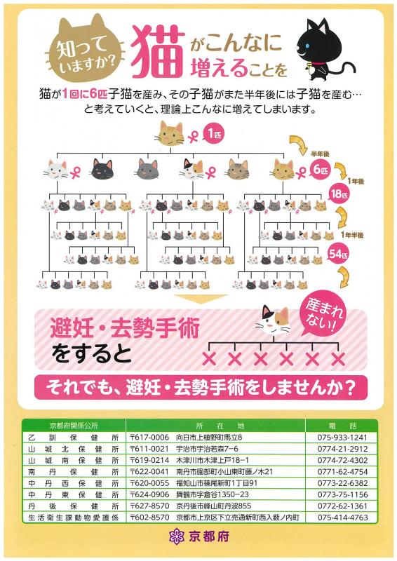 知っていますか？猫がこんなに増えることを