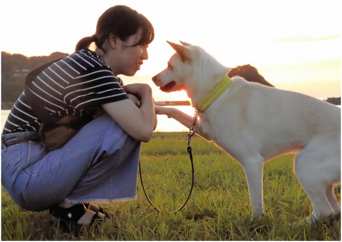 女の子と犬の写真