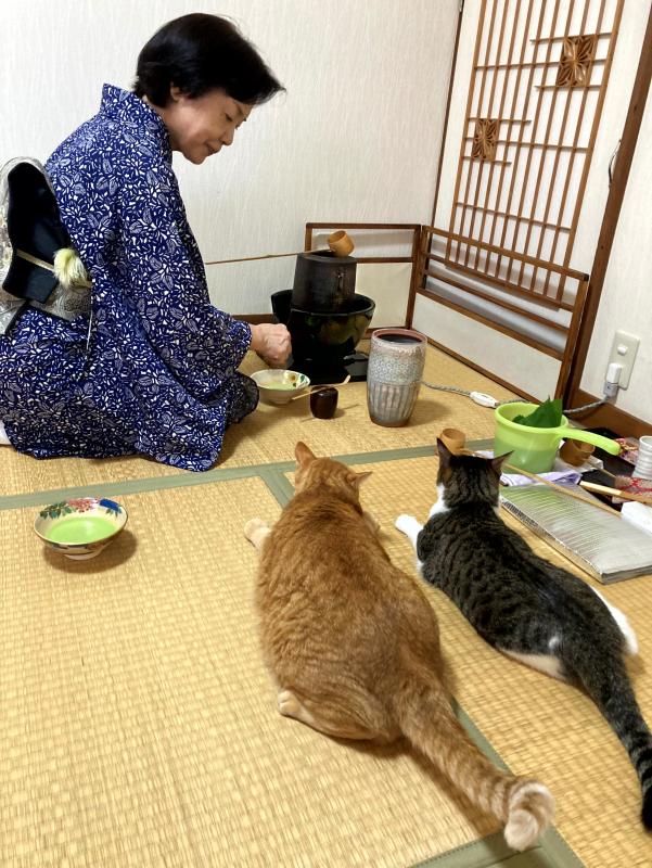 特選の写真