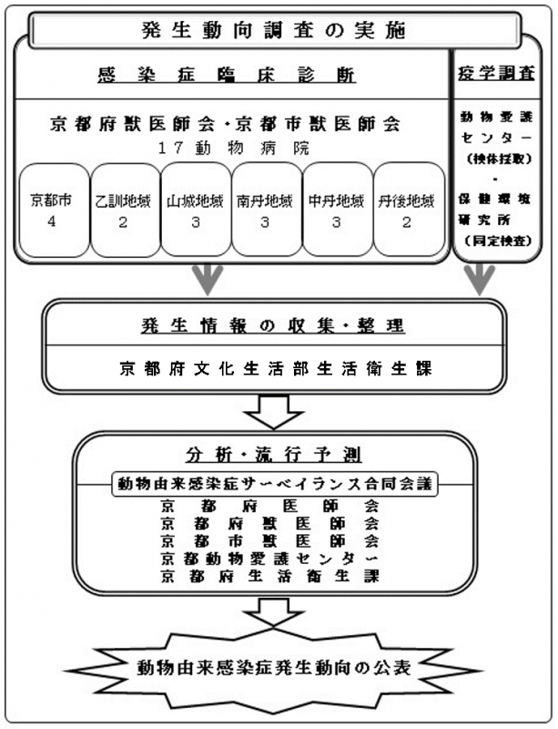 事業の流れの図