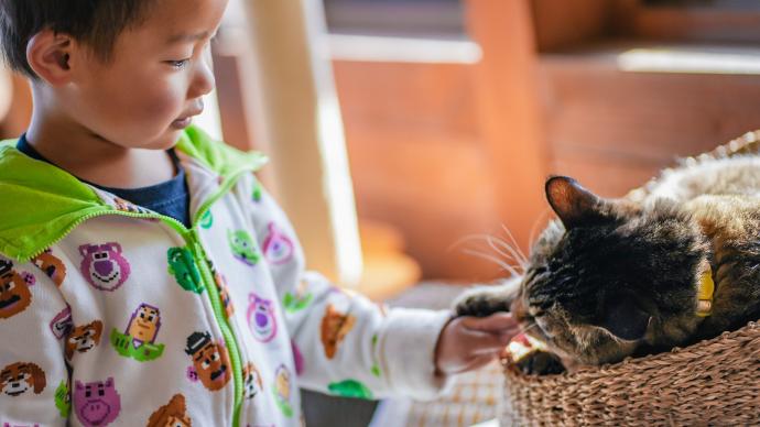 男の子と猫の写真