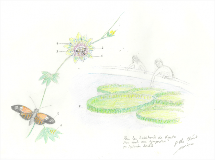  ジル・クレマン氏寄贈品