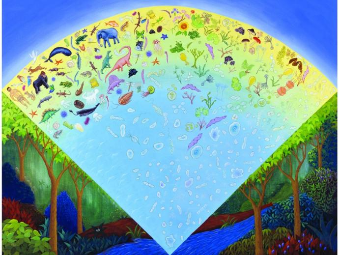 中村桂子氏寄贈品