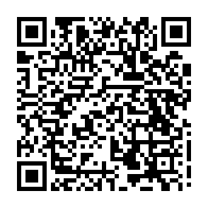 261005seminerqr