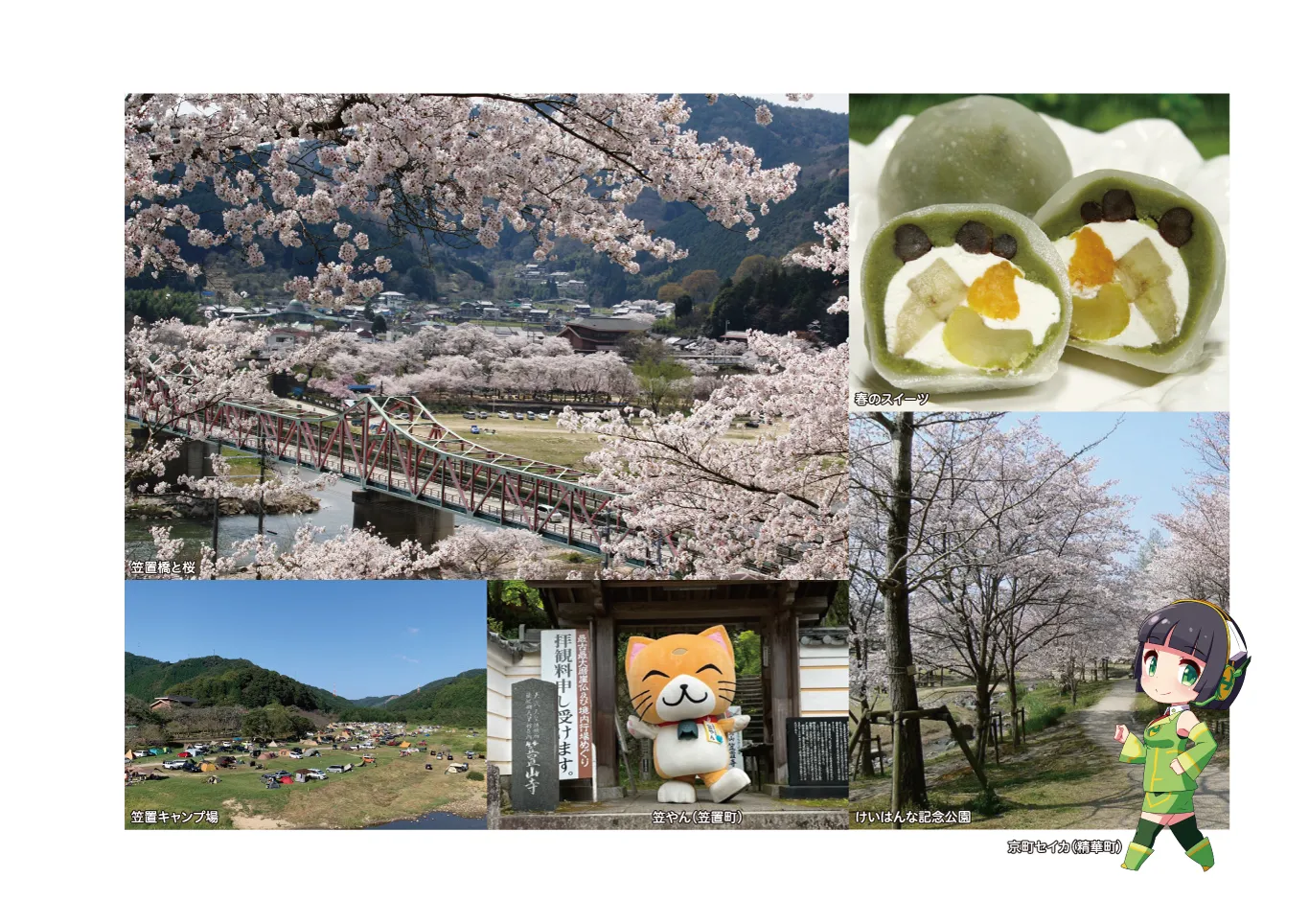 春夏秋冬ゆるっとホンマのきょうと巡り　3月　旅行　スポット写真