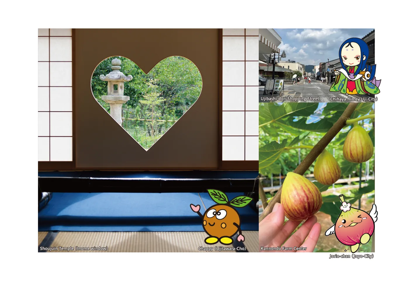 春夏秋冬ゆるっとホンマのきょうと巡り　10月　旅行　スポット写真