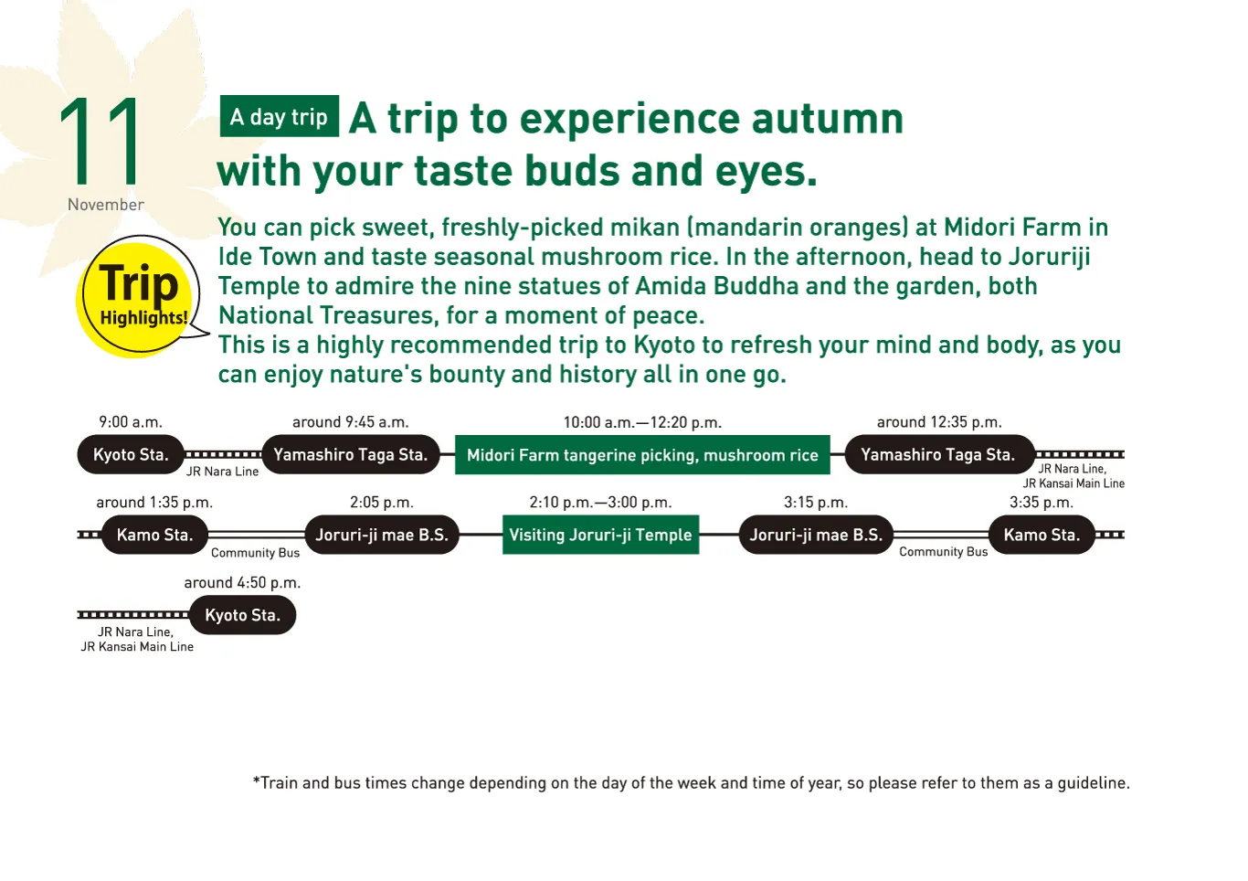 春夏秋冬ゆるっとホンマのきょうと巡り　11月　旅行　タイムスケジュール