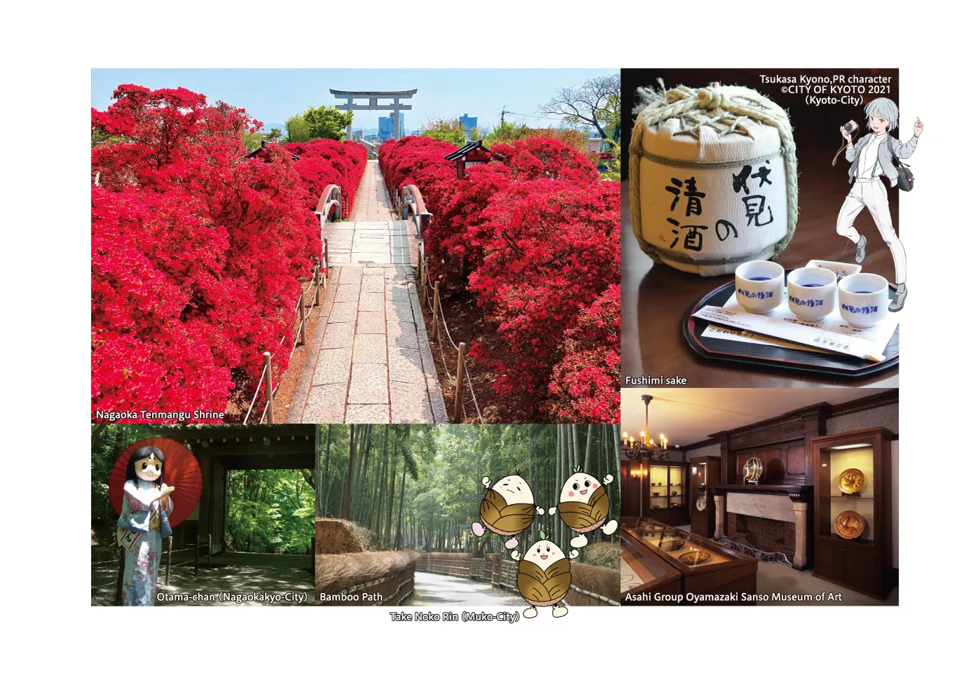 春夏秋冬ゆるっとホンマのきょうと巡り　4月　旅行　スポット写真