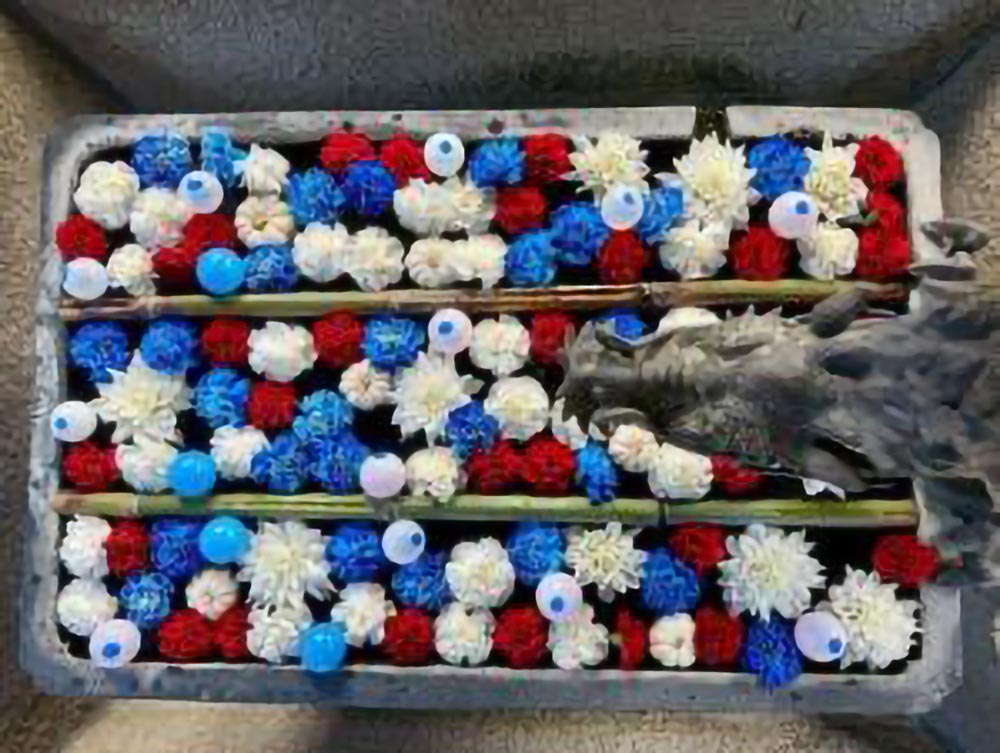 万博カラーの花手水