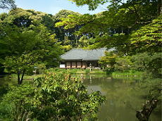 浄瑠璃寺