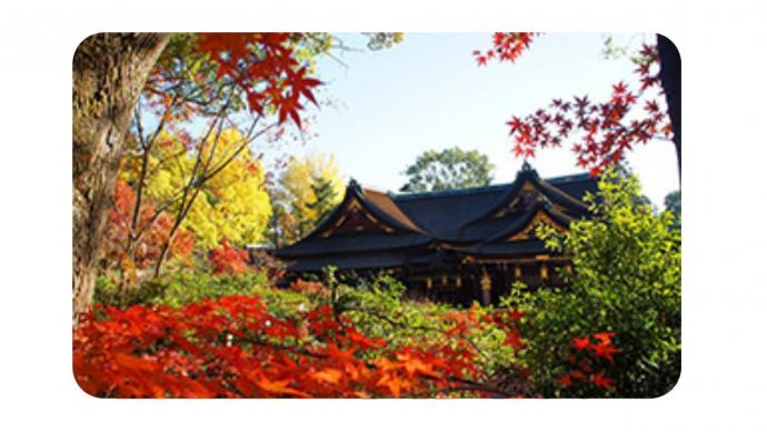 文化体験　北野天満宮