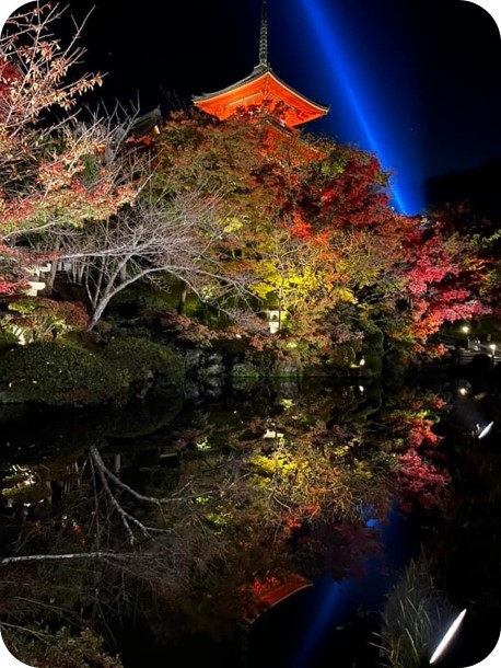 文化体験　清水寺夜間拝観　秋