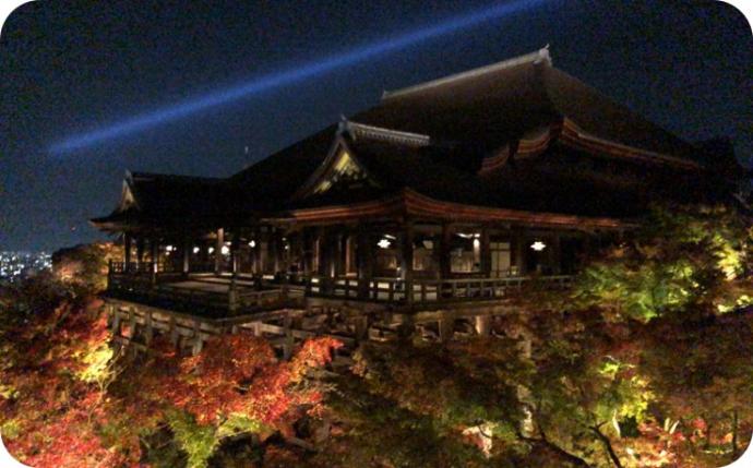 文化体験　清水寺夜間拝観　秋