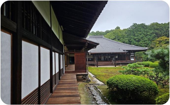 緑陰講座　随心院　お庭の様子