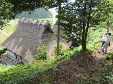 24sinnkenji