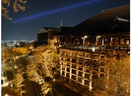 清水寺の春のライトアップ画像