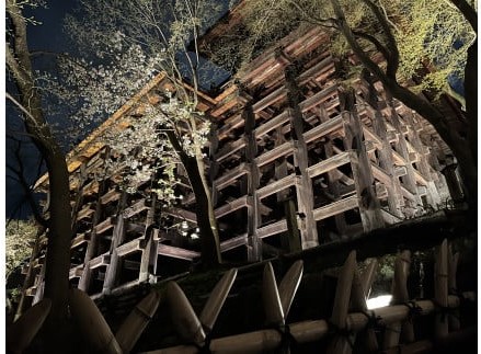 清水寺の舞台下から撮影した春のライトアップ画像