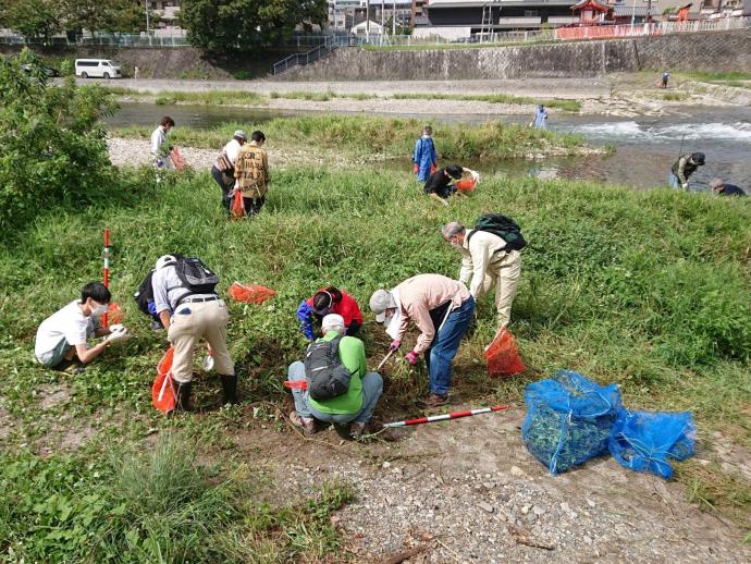令和2年度駆除活動の様子