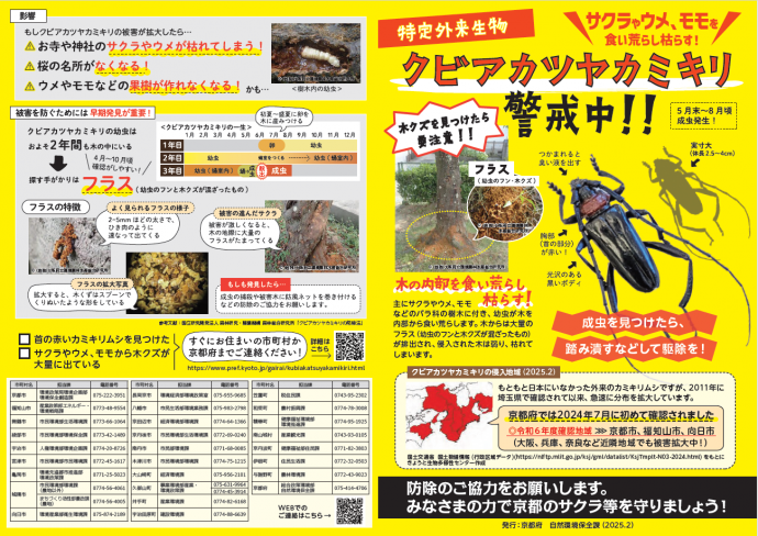 クビアカツヤカミキリ防除チラシ
