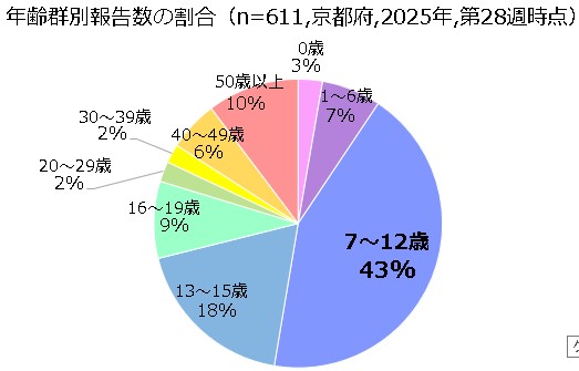 年齢群別割合